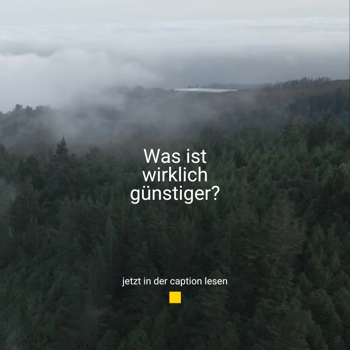 Was ist wirklich günstiger